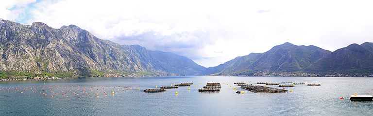 Image showing Aquaculture Montenegro