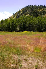 Image showing Country View in Helena Montana