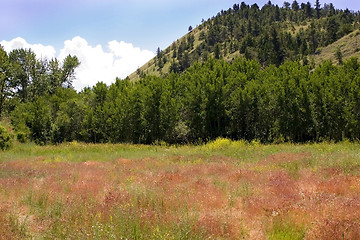 Image showing Country View in Helena Montana