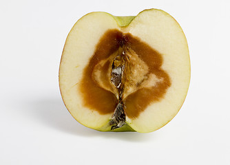 Image showing feculent apple rotten from the center - with clipping path