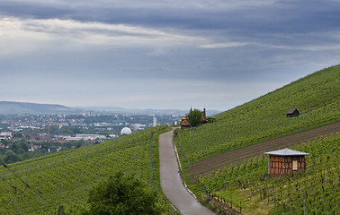 Image showing landscape with vineyard in south germany