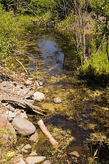 Image showing Still Part of River in Helena Montana