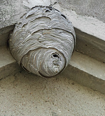 Image showing hornets nest under a roof overhang