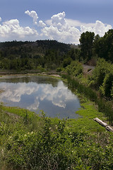 Image showing Pond, Mountains and Green in Helena Montana