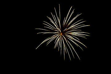 Image showing Firecrackers In The Sky