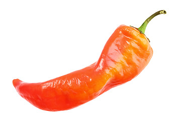 Image showing Single red fresh chilli-pepper