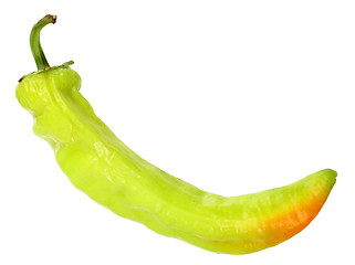 Image showing Single green fresh chilli-pepper