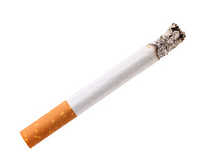 Image showing Single cigarette butt with ash