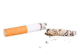 Image showing Single cigarette butt with ash