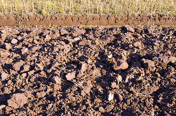 Image showing Plowed agriculture field background  fertile land 