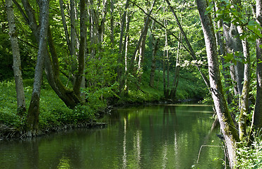 Image showing green river