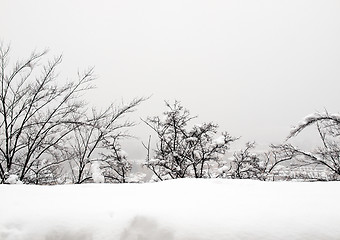 Image showing Turin view