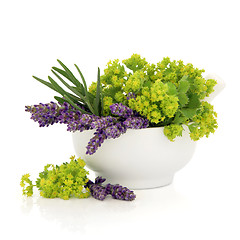 Image showing Lavender and Ladies Mantle Flowers