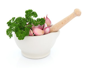 Image showing Garlic and Parsley Herb