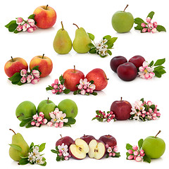 Image showing Fruit Collection