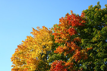 Image showing Fall in germany