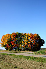 Image showing Fall in germany
