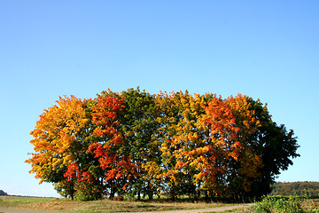 Image showing Fall in germany