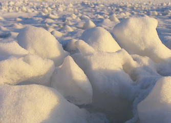 Image showing Ice field