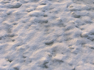 Image showing Ice field