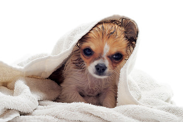 Image showing after bath