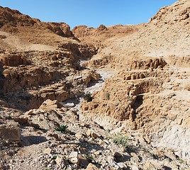 Image showing Gorge in desert cut by a Qumran creek near the Dead Sea