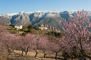 Image showing Guadalest at Almond blossom