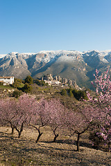 Image showing Guadalest valley