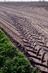 Image showing Leveled agricultural field truck wheel mark ground 