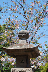 Image showing spring in Japan