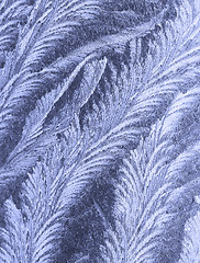 Image showing frost pattern