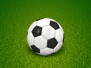 Image showing soccer ball on green grass