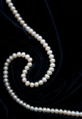 Image showing White pearls on the black velvet