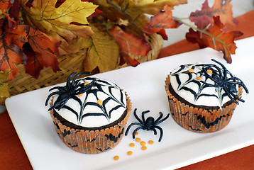 Image showing Halloween cupcakes