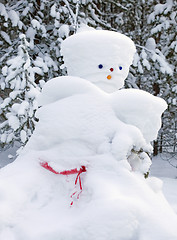 Image showing Snowman made by nature and resourceful man