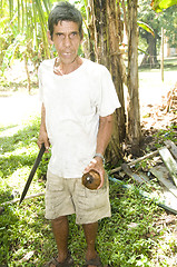 Image showing man cutting fresh coconut Nicaragua Corn Island Central America