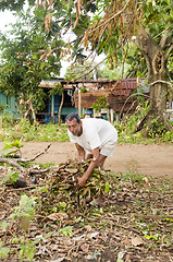 Image showing native Nicaraguan man gathering brush for fire Corn Island Nicar