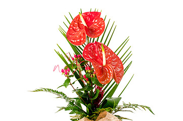 Image showing Beautiful red anturio flowers