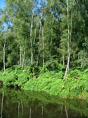 Image showing Canalside scene, Shropshire.