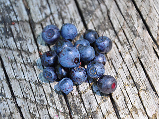 Image showing Wild bilberries on wood