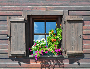 Image showing Flowers at window