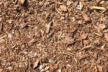 Image showing Bark mulch