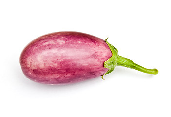 Image showing Asian egg plant