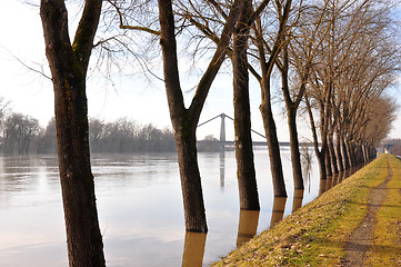 Image showing Danube flood