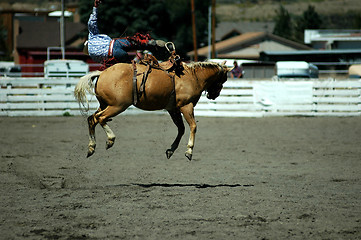 Image showing The Oh Shit! rodeo moment