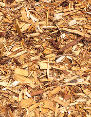 Image showing Wood chips