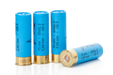 Image showing Isolated shotgun shells