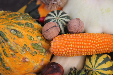 Image showing Autumn Harvest