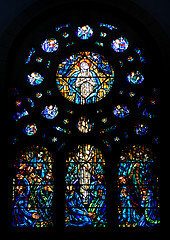 Image showing Stained glass in the Cathedral of St Vincent de Paul in Tunis