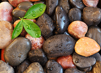 Image showing Zen stones background with leaves and water drops